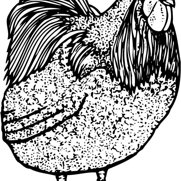 CHICK014 Thumbnail