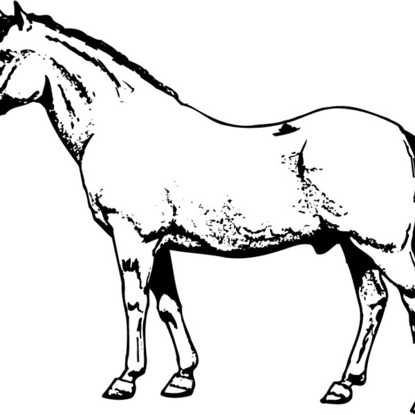 HORSE028 Thumbnail