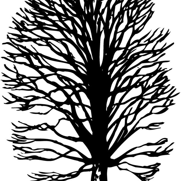 TREE0019 Thumbnail