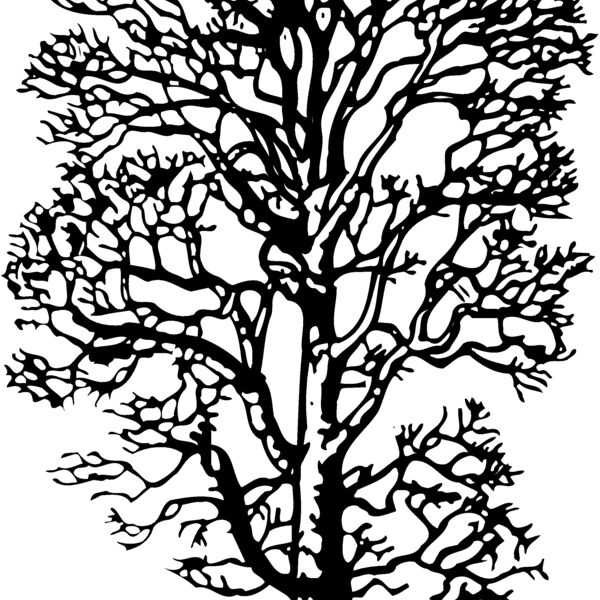 TREE0021 Thumbnail