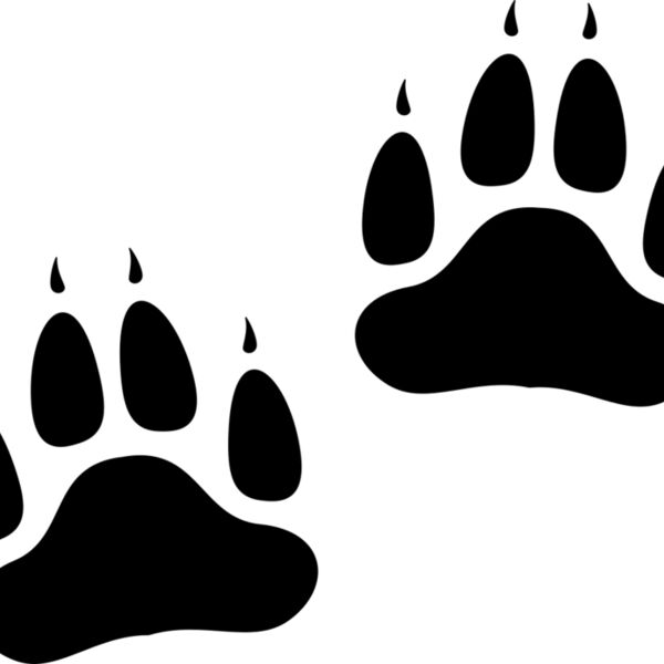 Bear   Clipart 2 Thumbnail