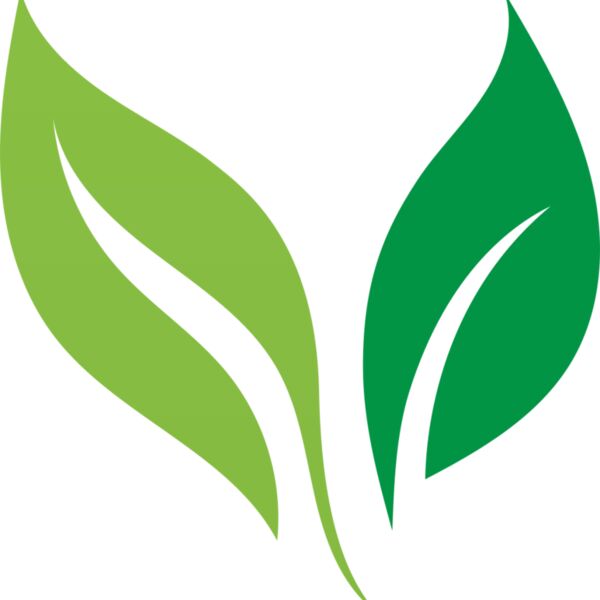 Leaves Thumbnail