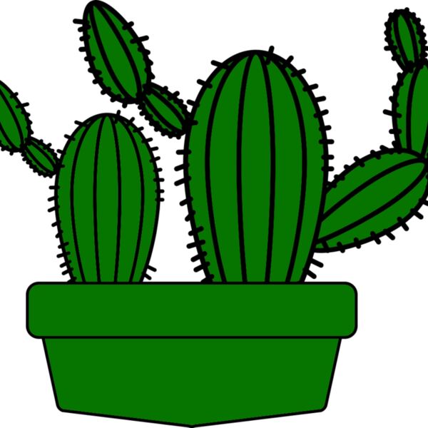 Cactus 5 Thumbnail