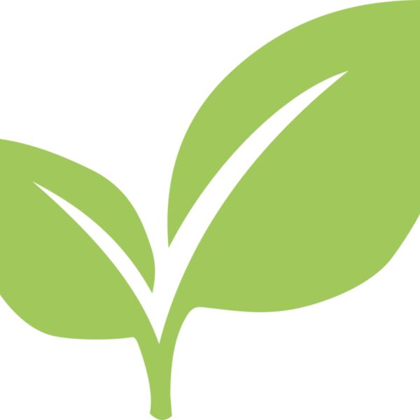 Leaves 6 Thumbnail