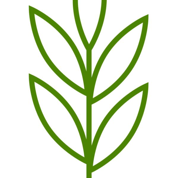 Leaves 4 Thumbnail