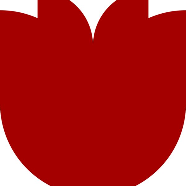 Flower 11 Thumbnail